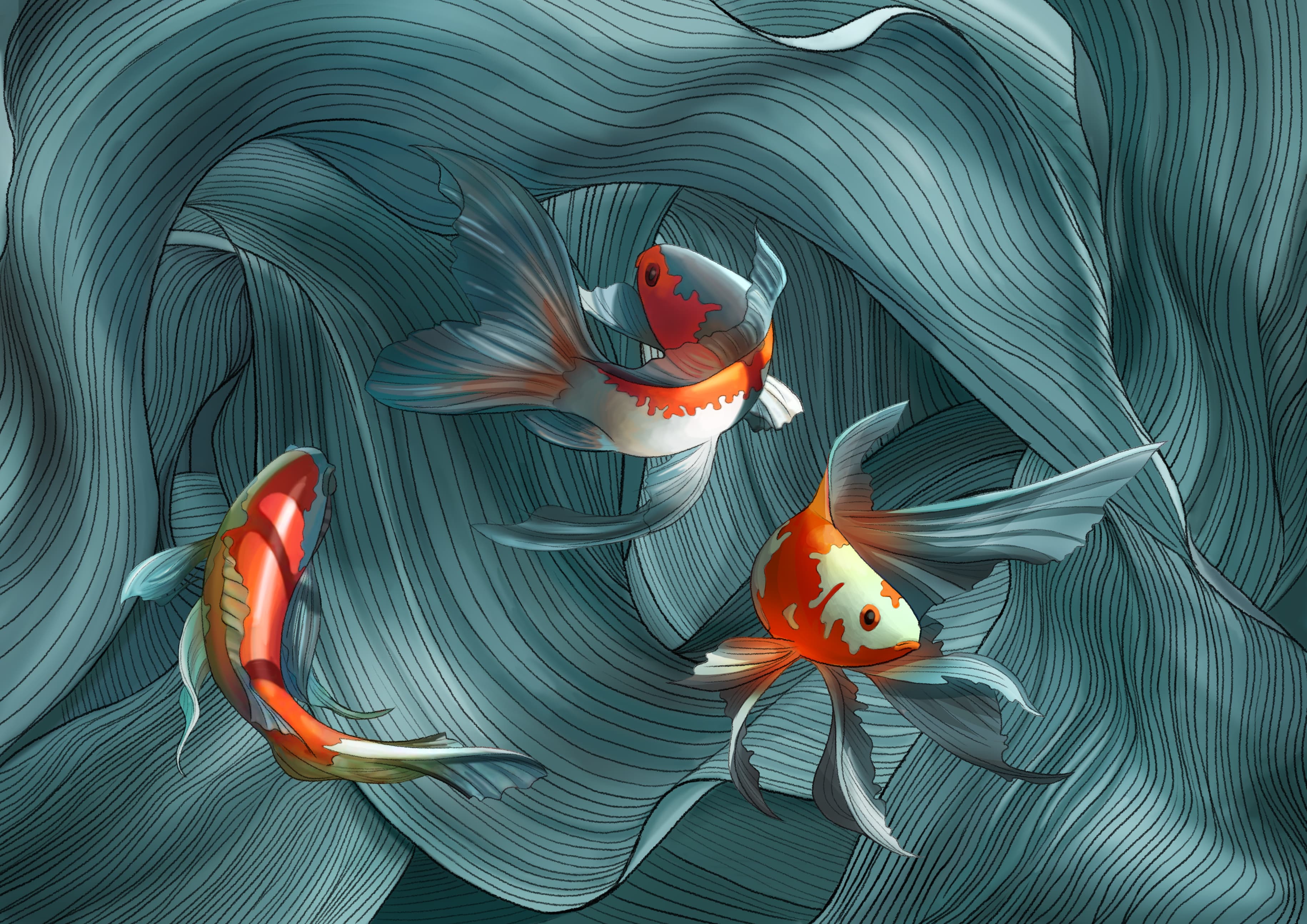 KOIS - Poster und Postkarte 