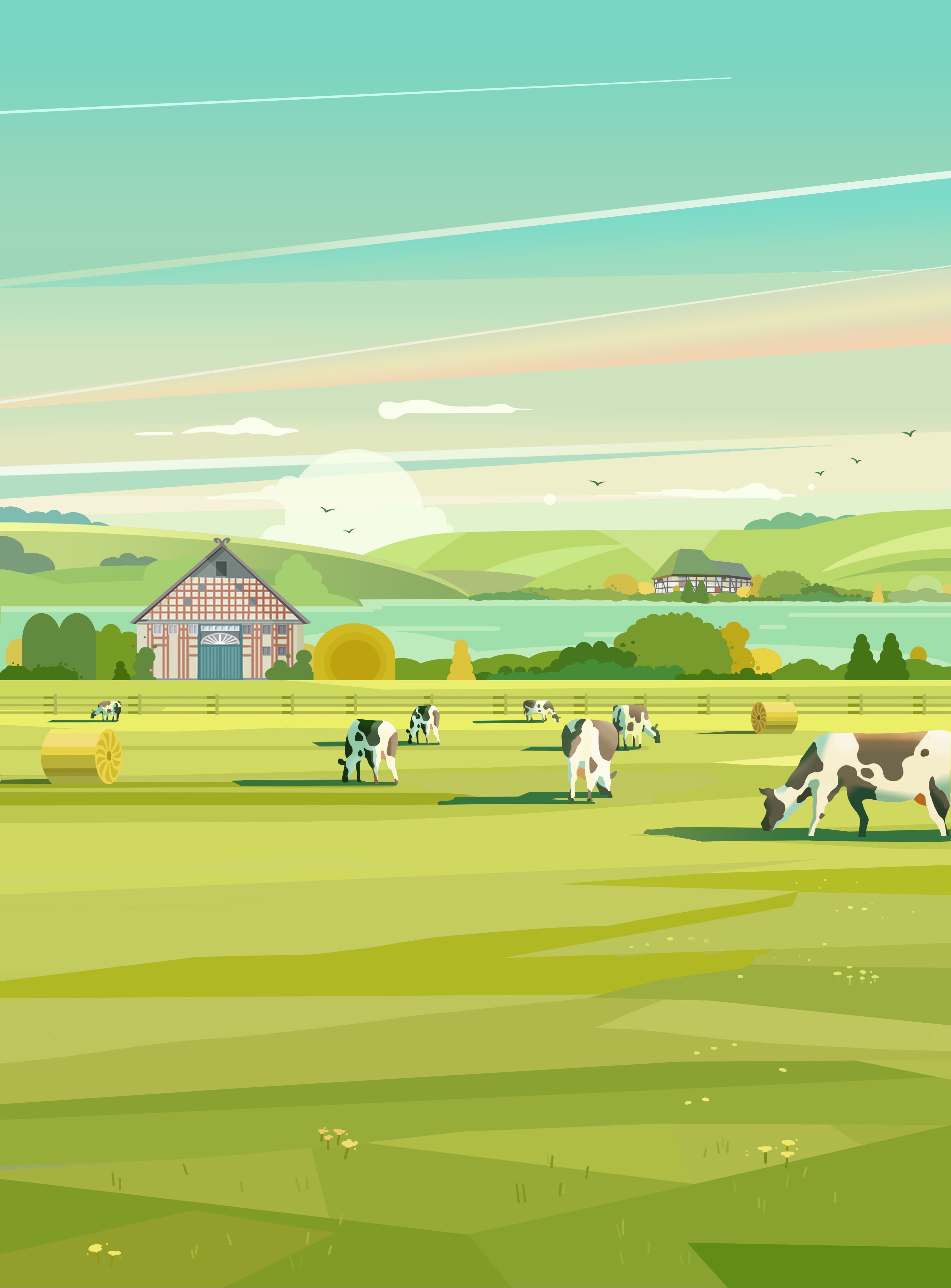 Wendland  Magazin - Detail 1